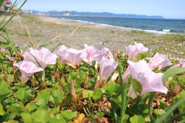 IMG_7519.JPG